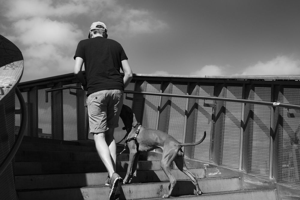 110 Andreas Henschel